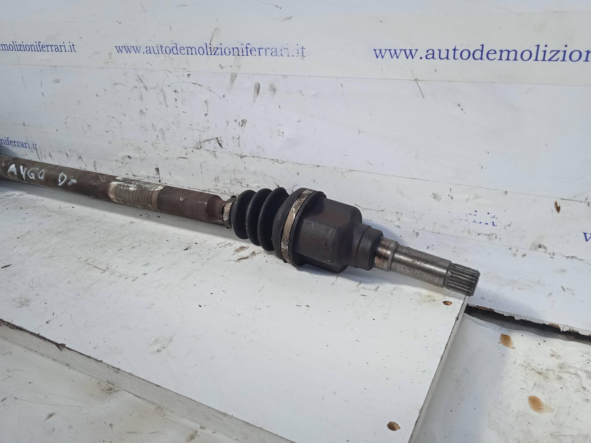 Semialbero ant. compl. dx.